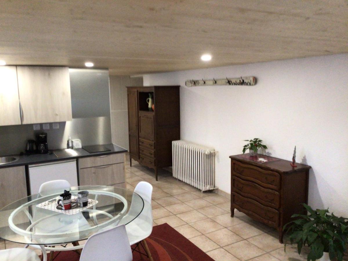 Studio Vic Vic-sur-Cère Exterior foto